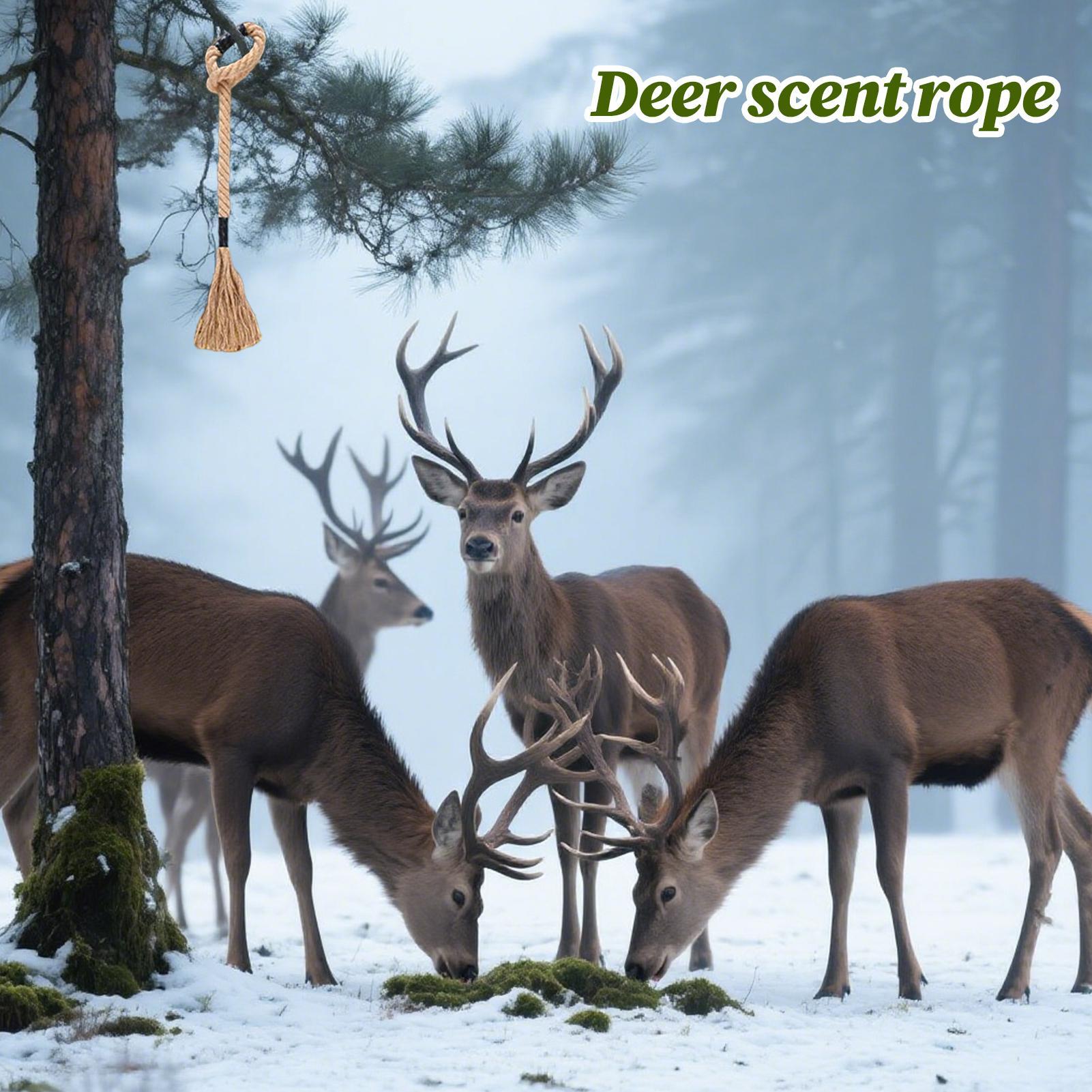 Deer Attractant Scent - Cuerda aromática de ciervo, atrayente efectivo