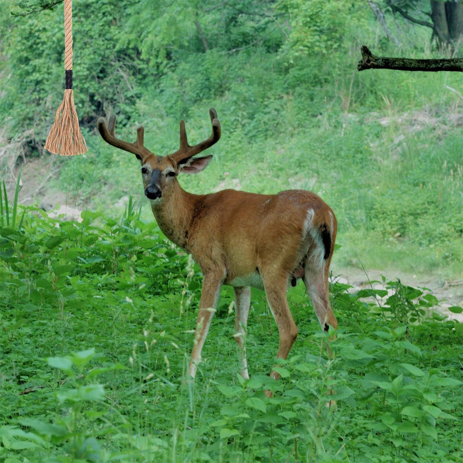 Raspar de ciervo, atractivo ef - Deer Attractant Scent reseña y precio